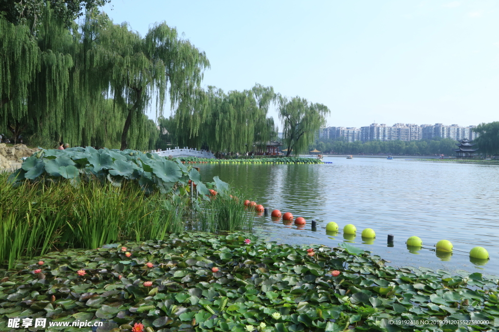陶然亭风景