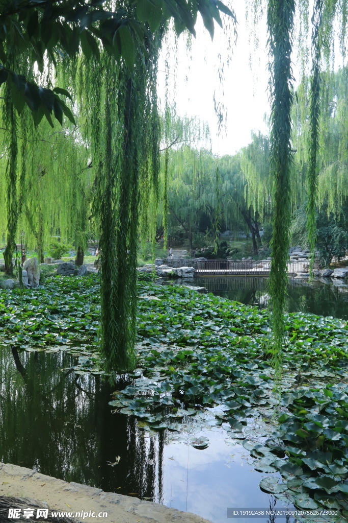 陶然亭风景