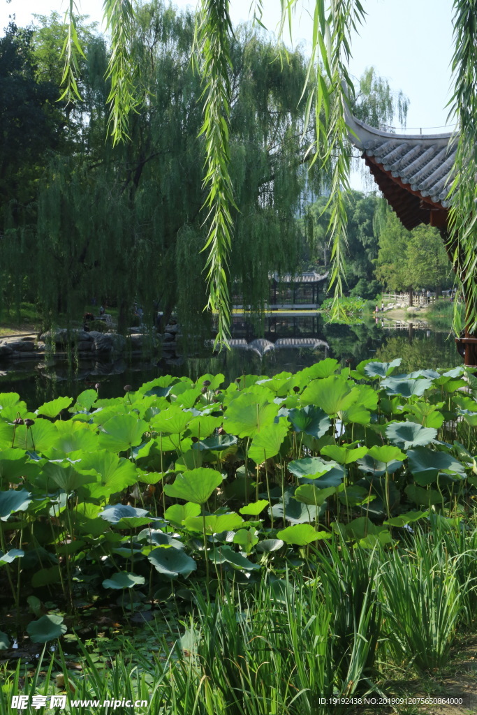 陶然亭风景