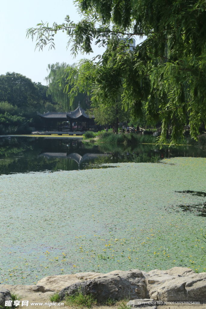 陶然亭风景