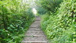 山路