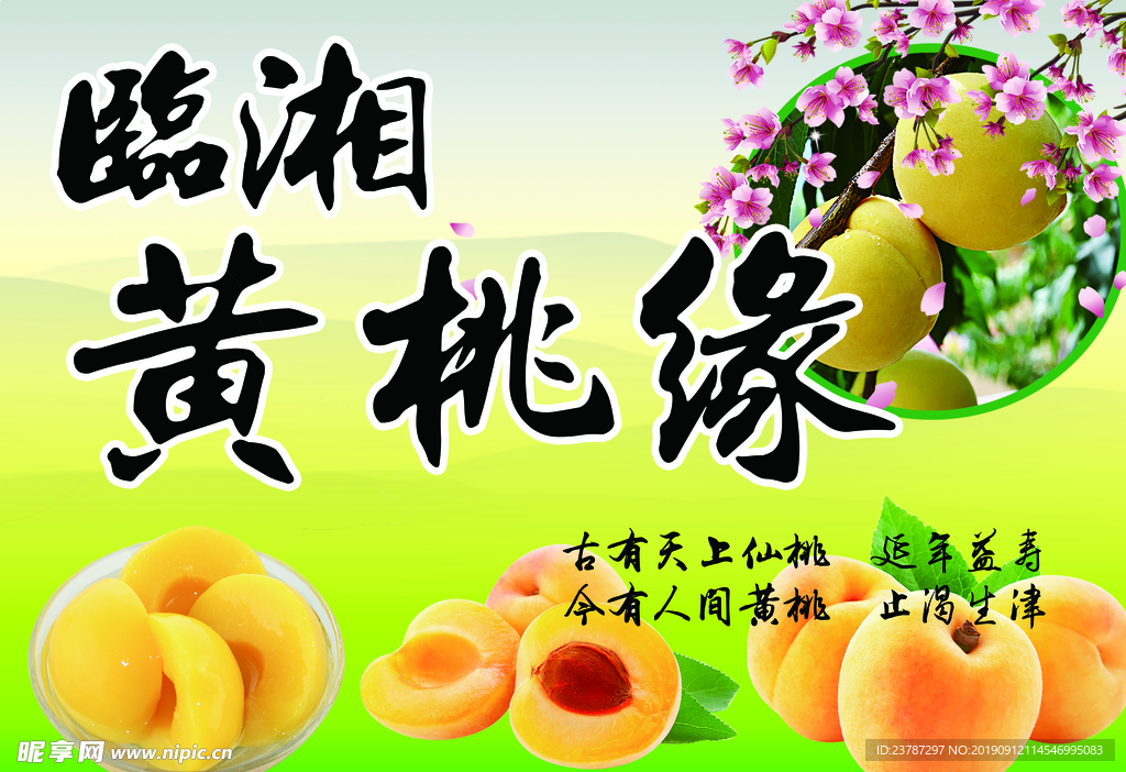 黄桃海报 宣传栏