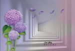 蒲公英