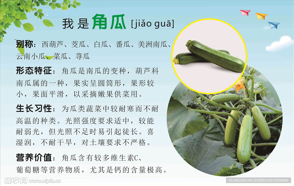 蔬菜路标