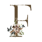 花纹字母