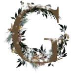 花纹字母