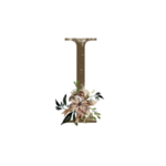 花纹字母