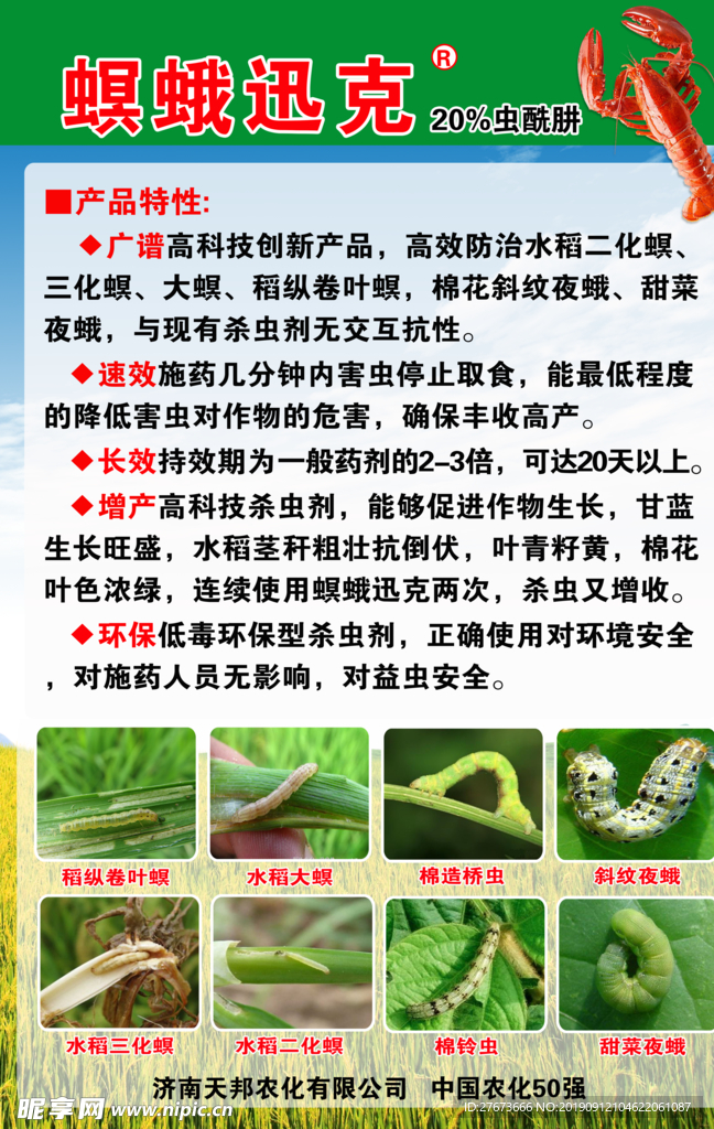 螟蛾迅克