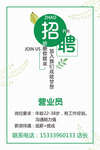 小清新招聘海报 招聘营业员