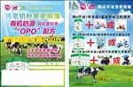 奶粉传单