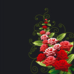 矢量玫瑰花