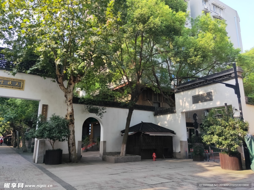 小树