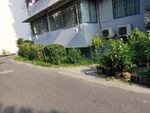 小树