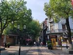 杭州街道  白房子  大树