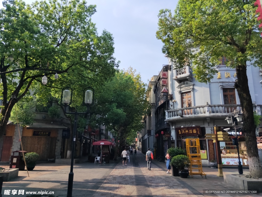 杭州街道  白房子  大树