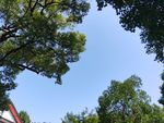 蓝天白云