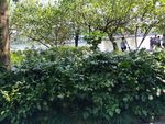 西湖风景