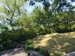 西湖风景