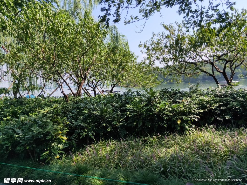 西湖风景