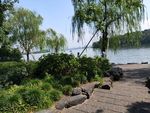 西湖风景