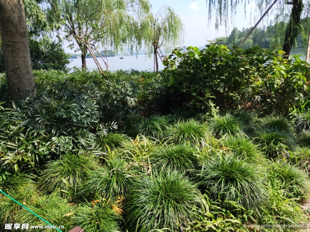 西湖风景