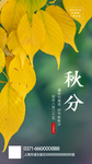 秋分
