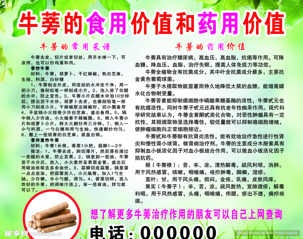 牛蒡的价值