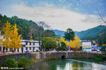 山村