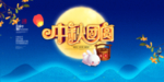 中秋团圆海报