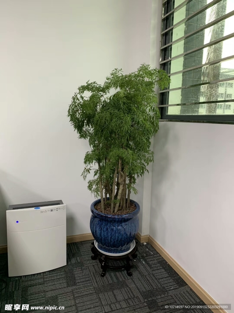 花卉