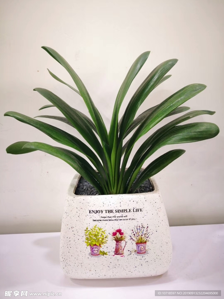 花卉
