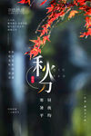 秋分