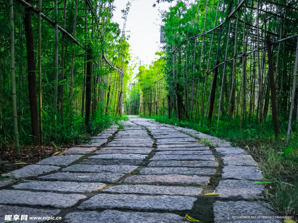 竹林小路