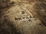 样机