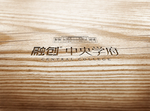 样机