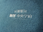 样机
