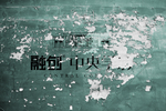 样机
