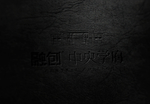 样机