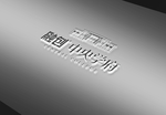 样机