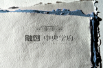 样机