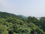 六和塔