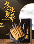 补品