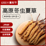 冬虫夏草