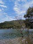 怡湖风景