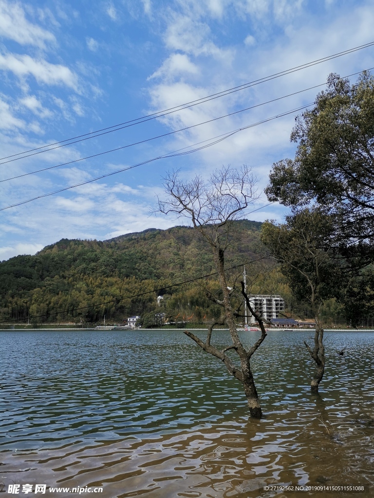 怡湖风景