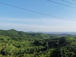 风景山
