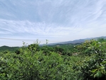 山上风景