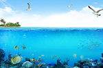海底
