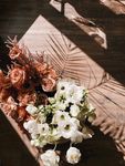 阳光下的花束
