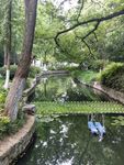 园林 树木 绿色 公园 园艺